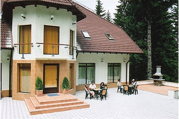 Семейный пансионат Poiana Braşov 4